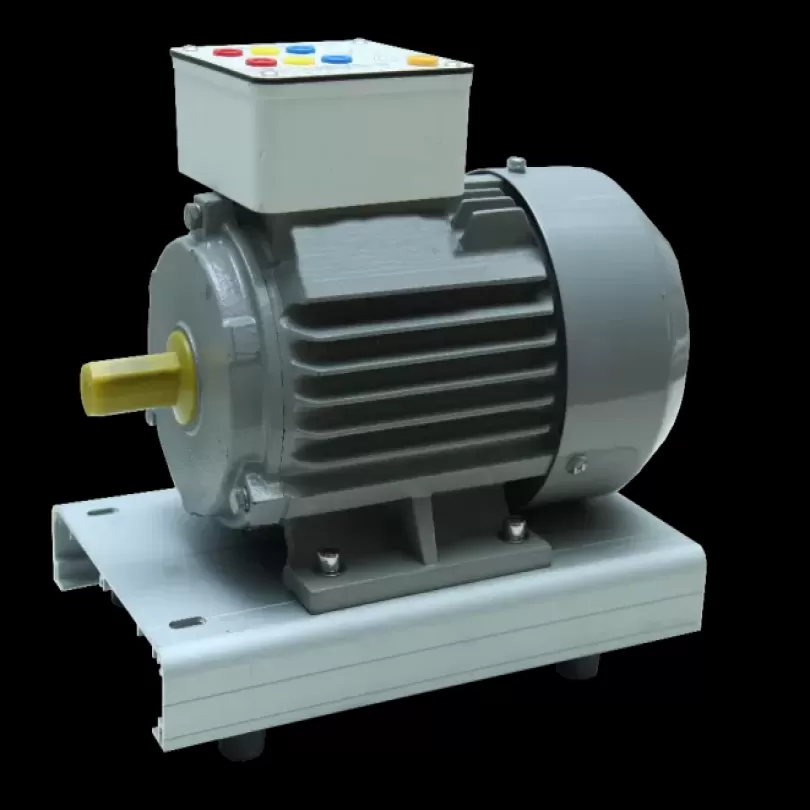 Module đào tạo động cơ điện xoay chiều (Động cơ điện 3 pha 660/380VAC)
